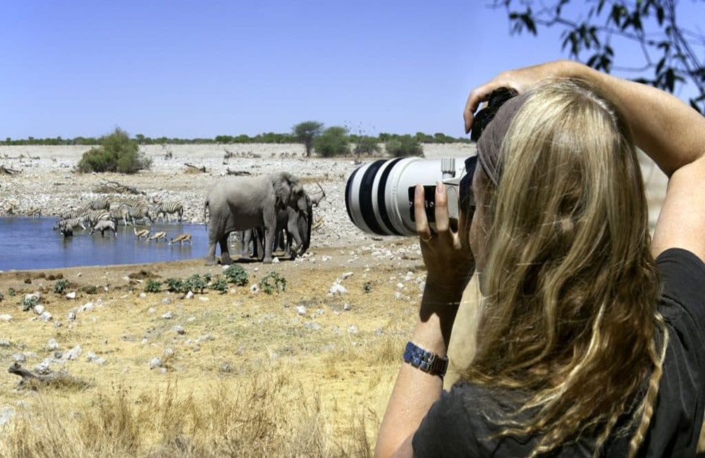 Photographic Sarari - Carnivores Safaris