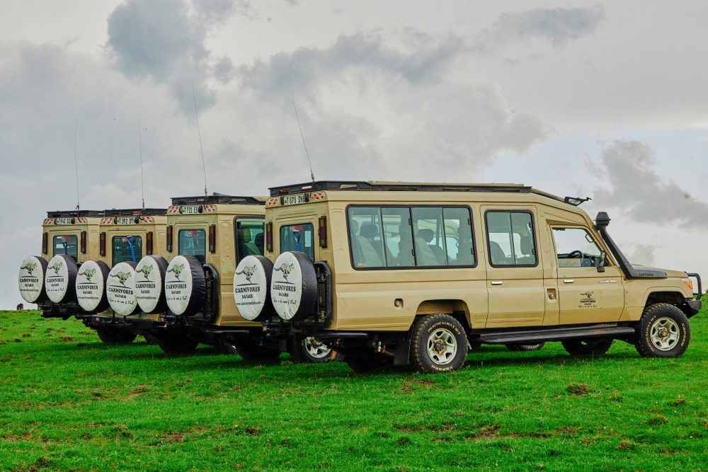 Carnivore Safaris