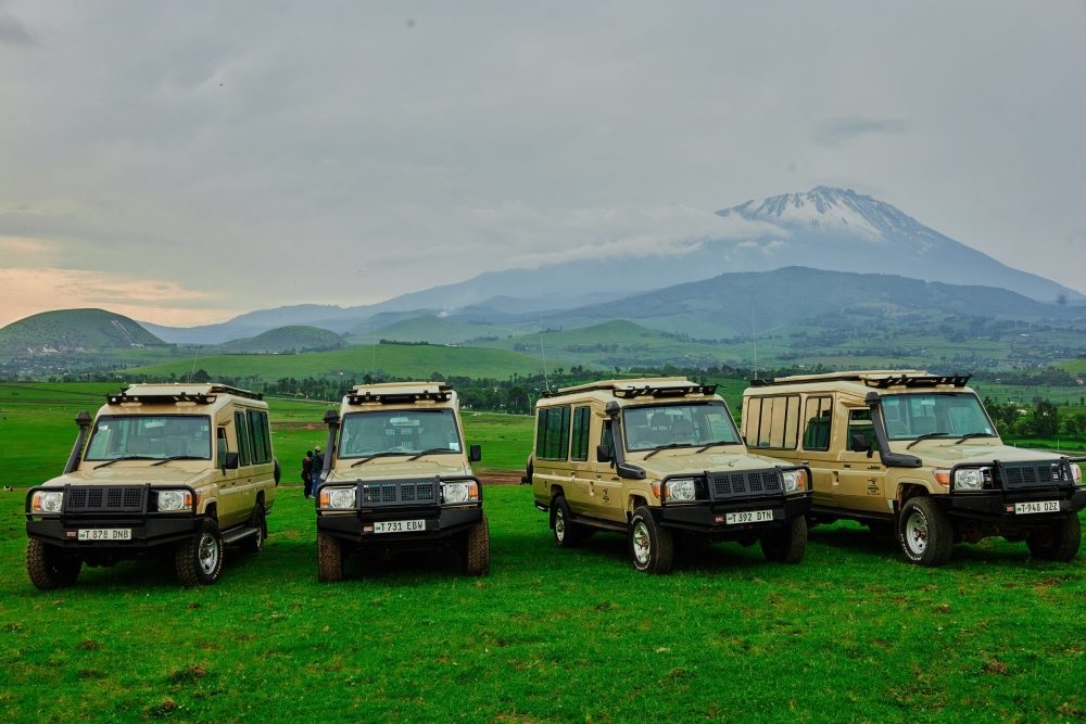 Carnivore Safaris